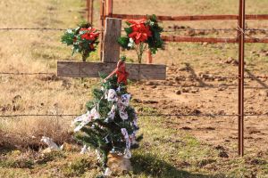 Grave marker w/ xmas tree